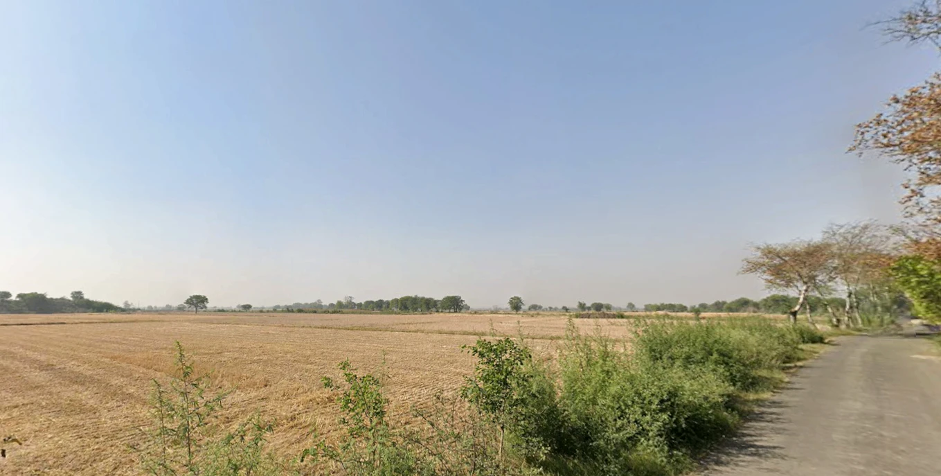 Barhana, Haryana 124107, India