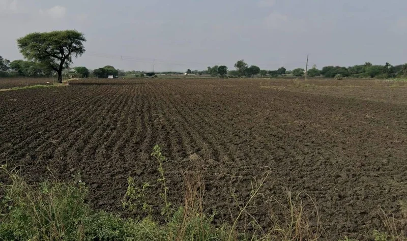 Manglaya Sadak, Indore, Madhya Pradesh, India preview 3