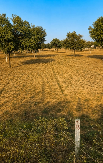 6M8H+4VX, Alwar, Ishwana, Rajasthan 301408, India preview 3