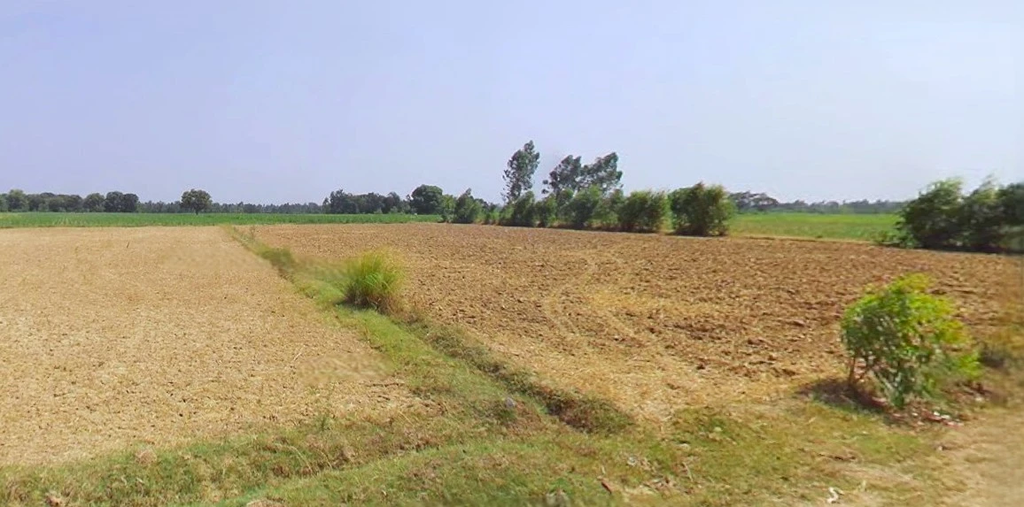 Bijnor, Uttar Pradesh 246701, India