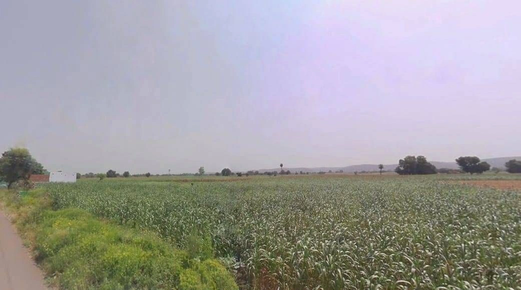 Firozpur Jhirka, Haryana 122104, India