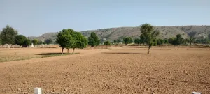 Kerwawal, Rajasthan, India preview 3