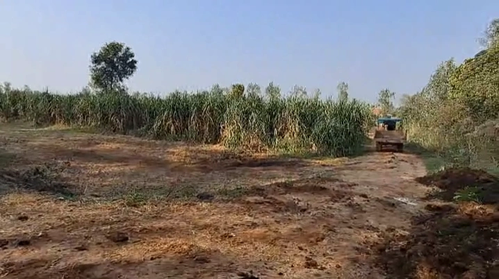 Mozamabad-Jwalagarh, Uttar Pradesh, India