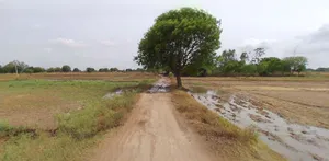 Budaun, Uttar Pradesh 243601, India preview 3