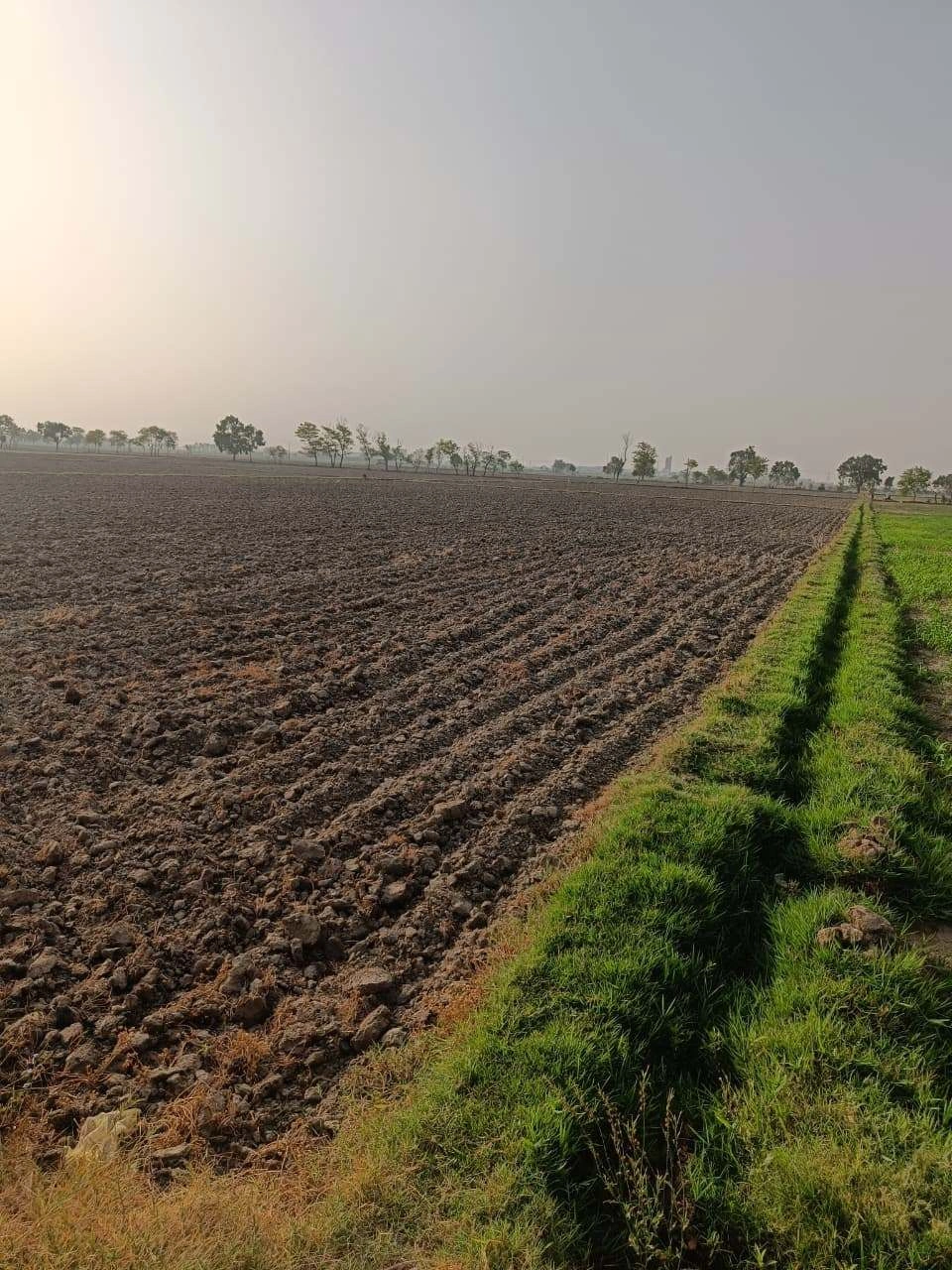 Tentigaon, Uttar Pradesh, India preview 3