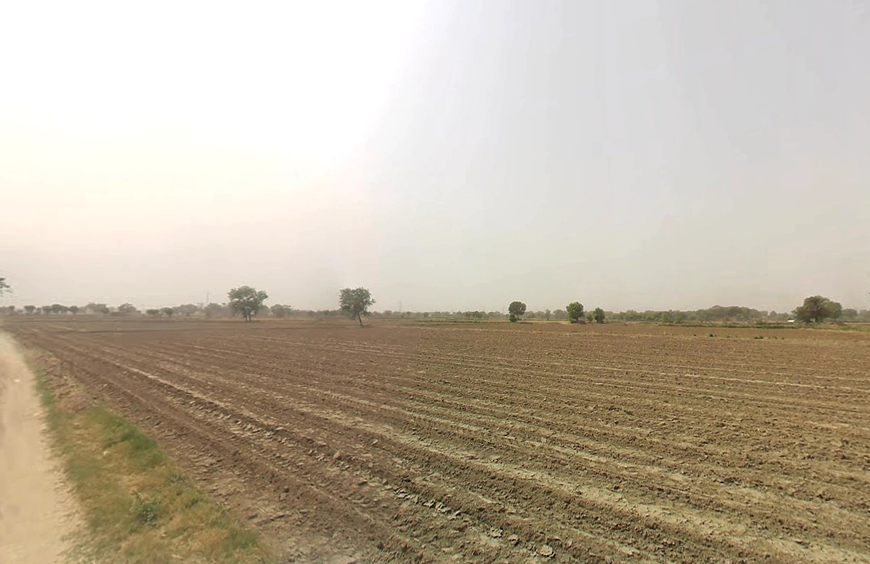 Pirthla, Haryana, India
