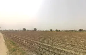 Pirthla, Haryana, India preview 2