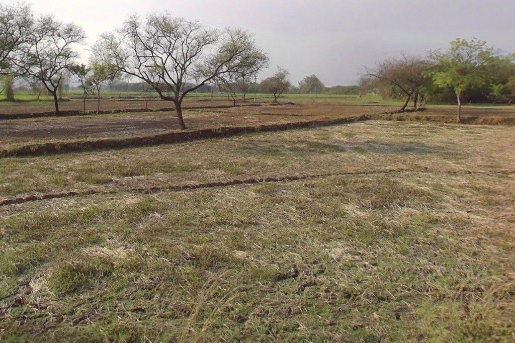 Chandan, Chhattisgarh 491335, India