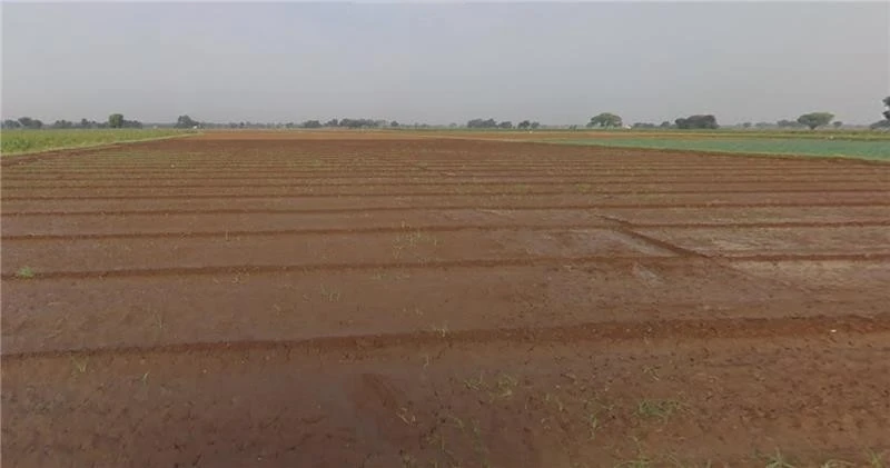 Viramgam, Gujarat 382150, India