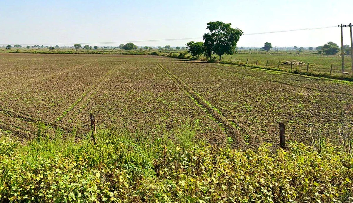 RFWC+977, Miana, Madhya Pradesh 473113, India