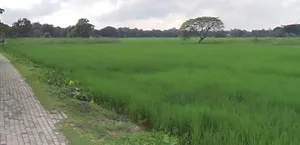 Shajapur, Madhya Pradesh 465001, India preview 2