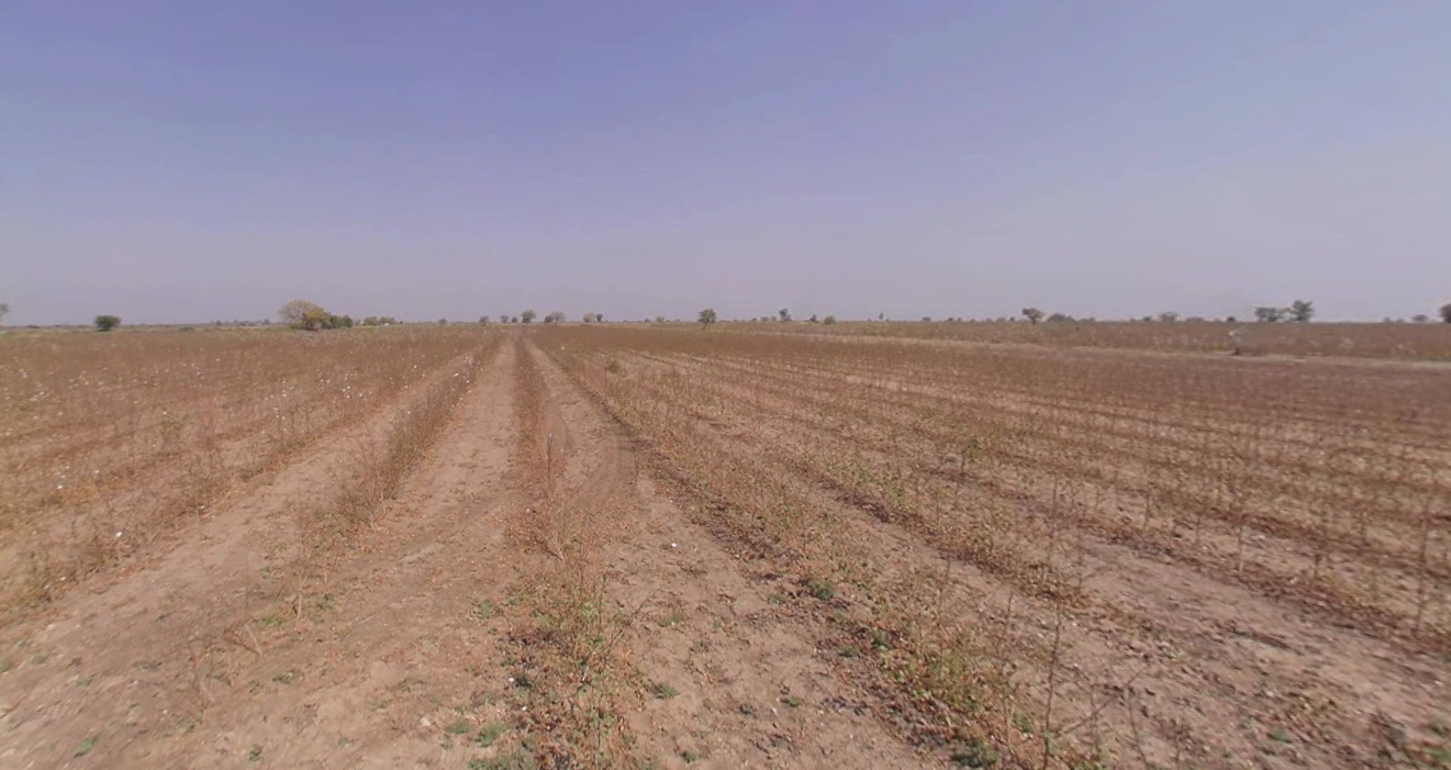 Fefarwada, Maharashtra, India