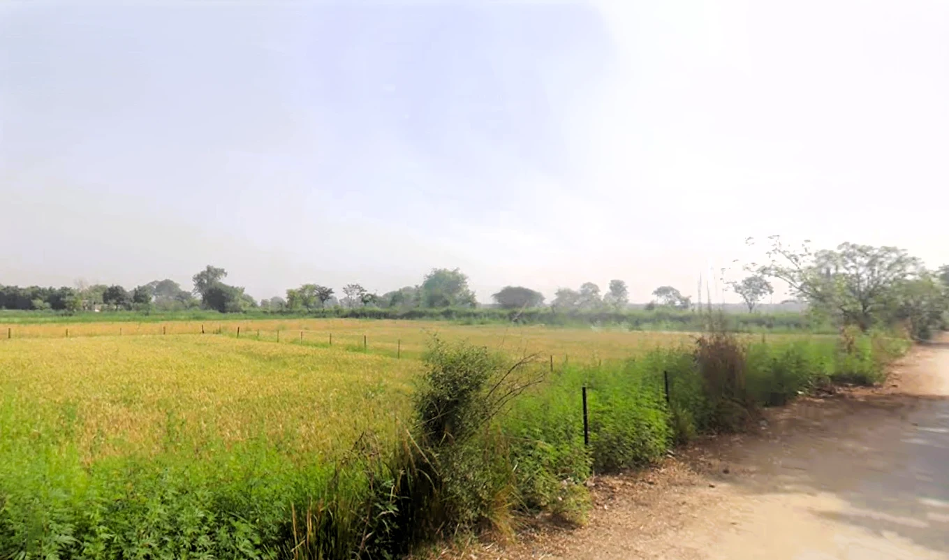 Faridpur, Sector 78, Faridabad, Haryana, India