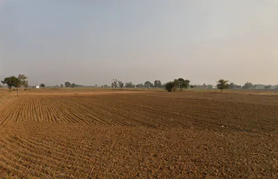 Kharkhada, Haryana 123106, India preview 3
