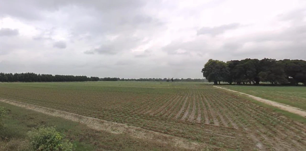 Itma, Madhya Pradesh 485441, India