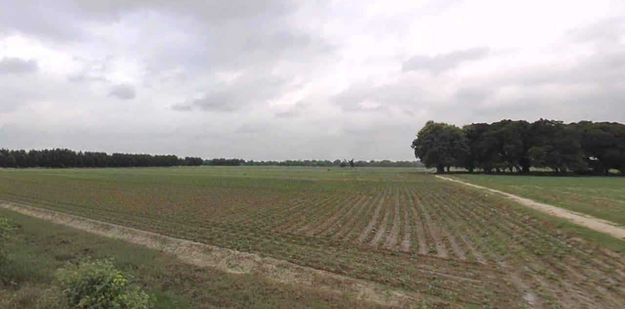 Itma, Madhya Pradesh 485441, India