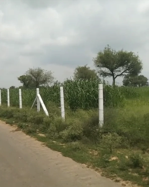 Jurathra, Sikar, Rajasthan 332402, India