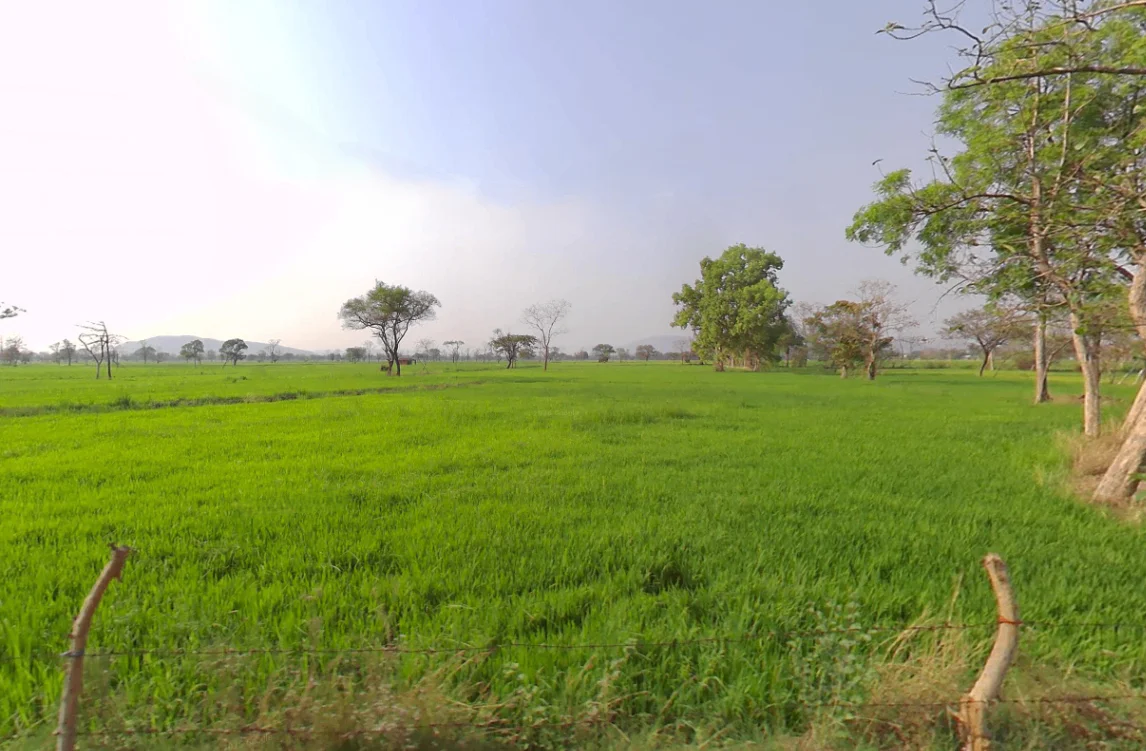 C/o:, motilal nishad, ward 2, Mudhipani, Chhattisgarh 766105, India preview 2