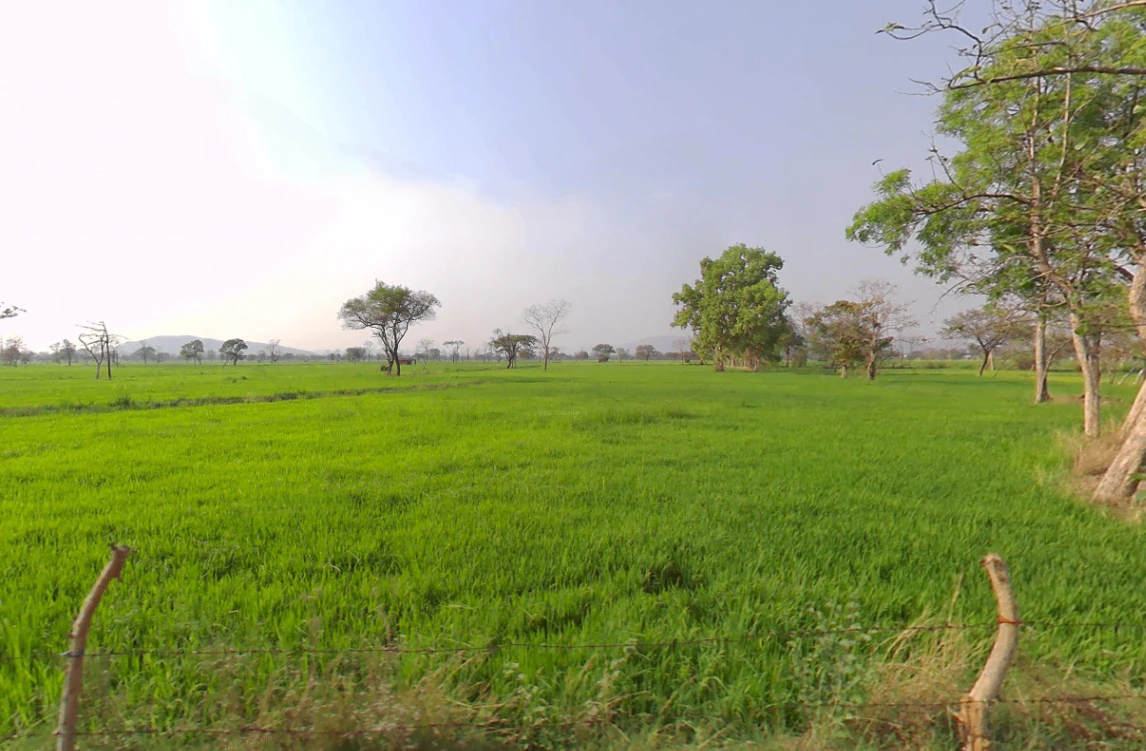 C/o:, motilal nishad, ward 2, Mudhipani, Chhattisgarh 766105, India