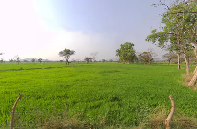 C/o:, motilal nishad, ward 2, Mudhipani, Chhattisgarh 766105, India preview 2