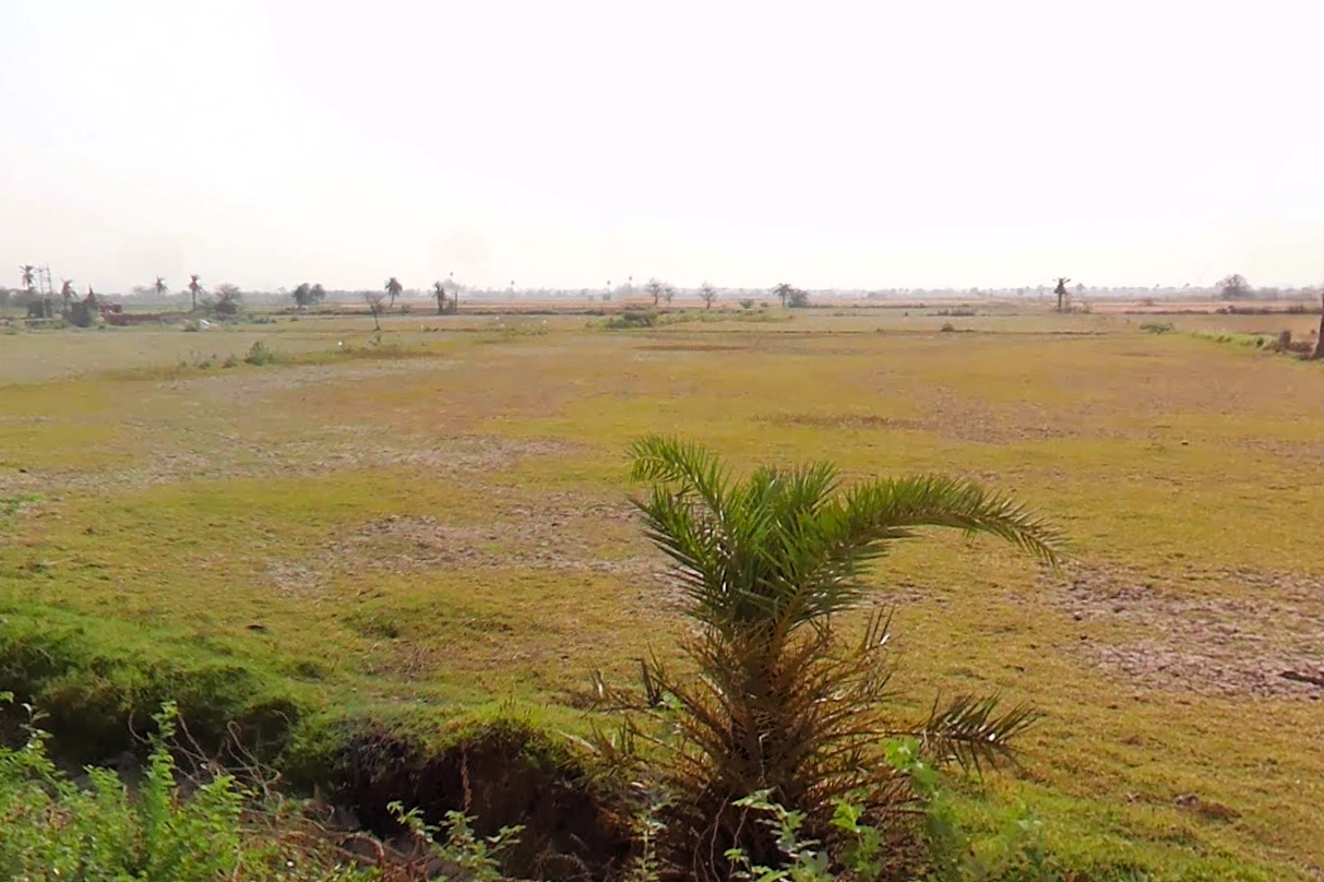 Kabulpur Bangar, Haryana 121004, India