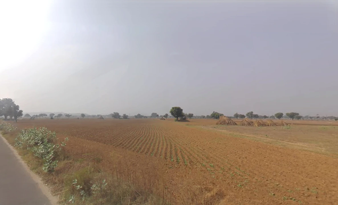 Nangal Chaudhary, Haryana 123023, India