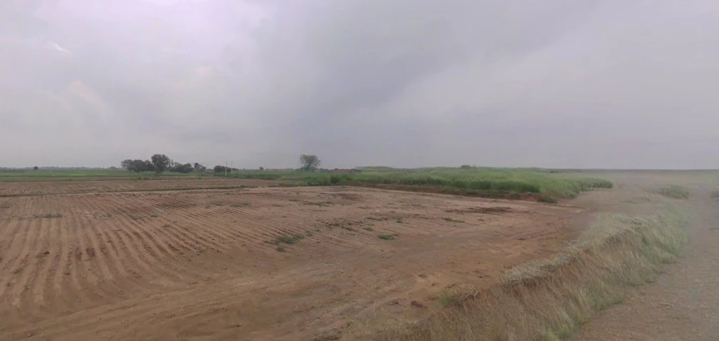 Barnagar, Madhya Pradesh 456771, India