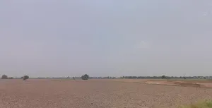 Solitaire Walk, Lodhi Club Road, adjoining Keys Hotel, Rajguru Nagar Extension Part-1, Rajguru Nagar, Ludhiana, Punjab 142022, India preview 2