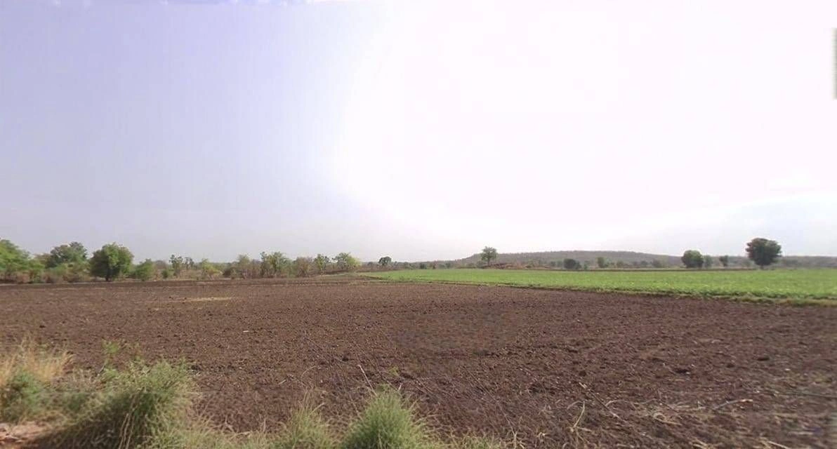 54WP+V5J, Bhokariya, Madhya Pradesh 451001, India