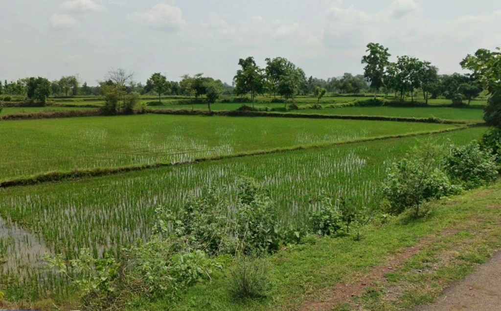 Takhatpur, Chhattisgarh 495330, India