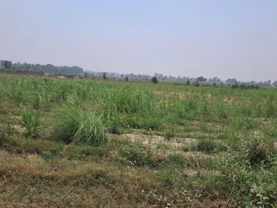 P7P3+H6 Tihura Uparhar, Uttar Pradesh, India preview 2