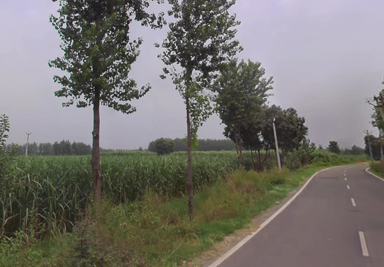 Behat, Uttar Pradesh 247121, India