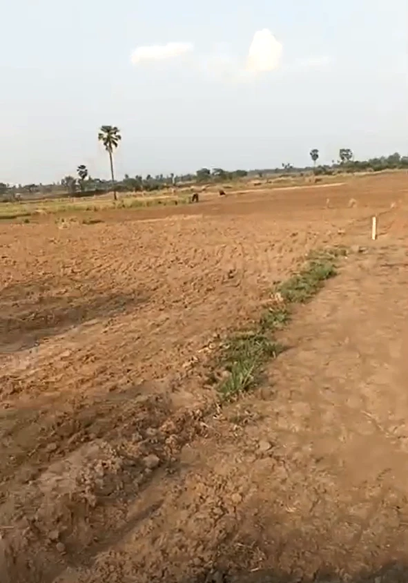 Kumariya, Dewas, Madhya Pradesh 455001, India