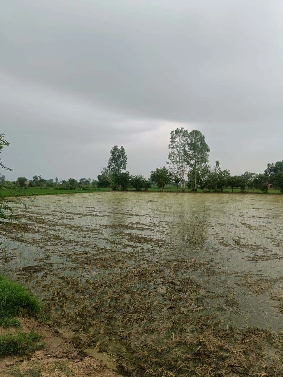 Bukharari, Mathura, Uttar Pradesh, India