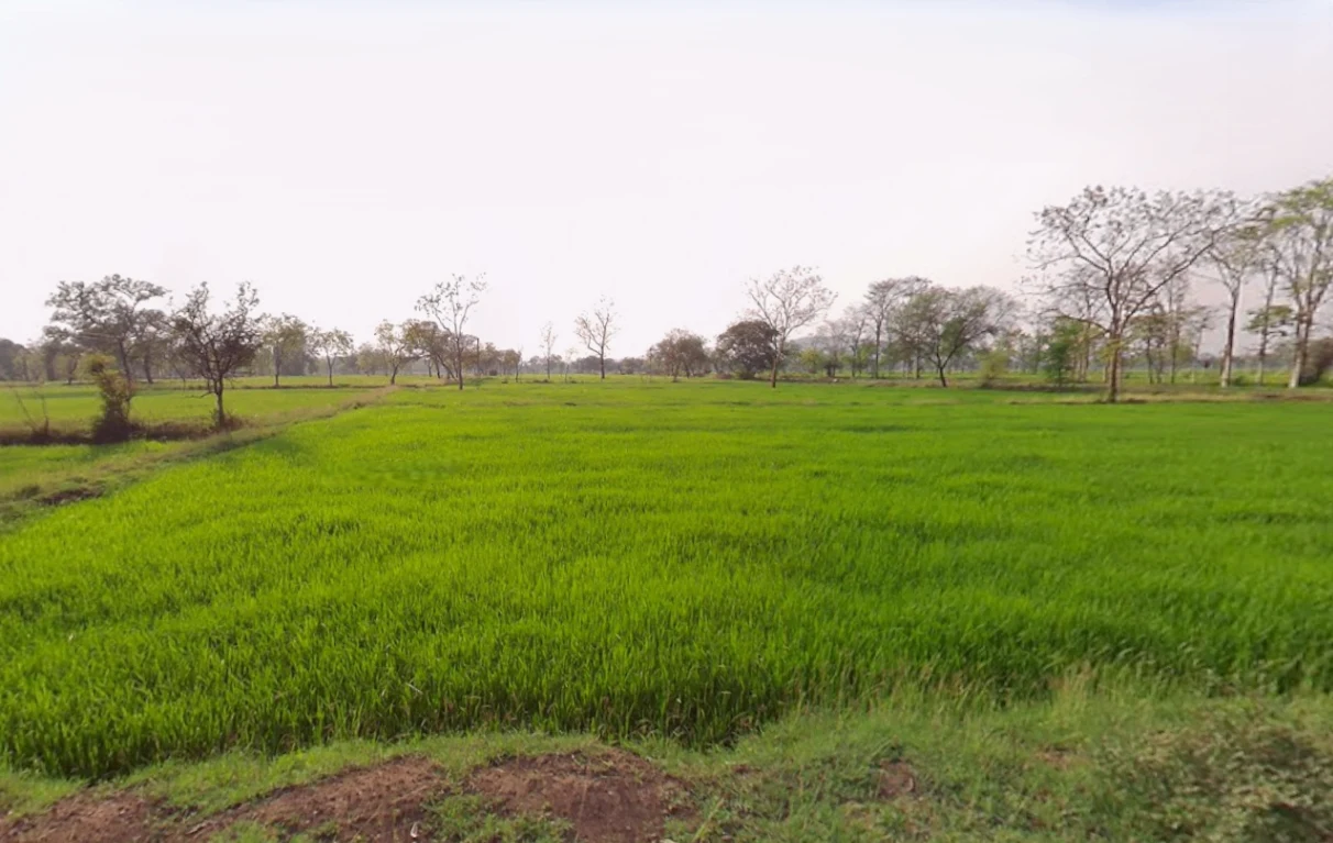 Deori, Chhattisgarh, India