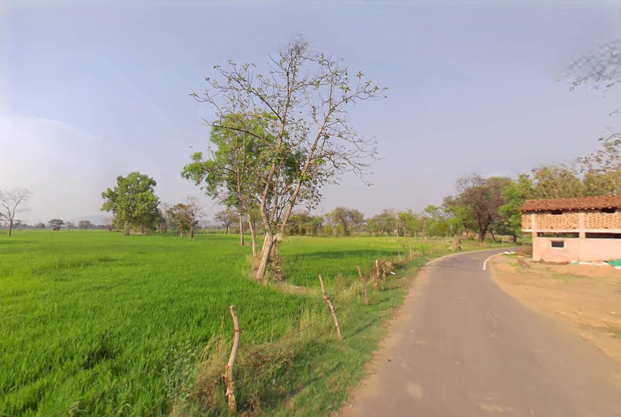 Gadamore, Chhattisgarh 491337, India