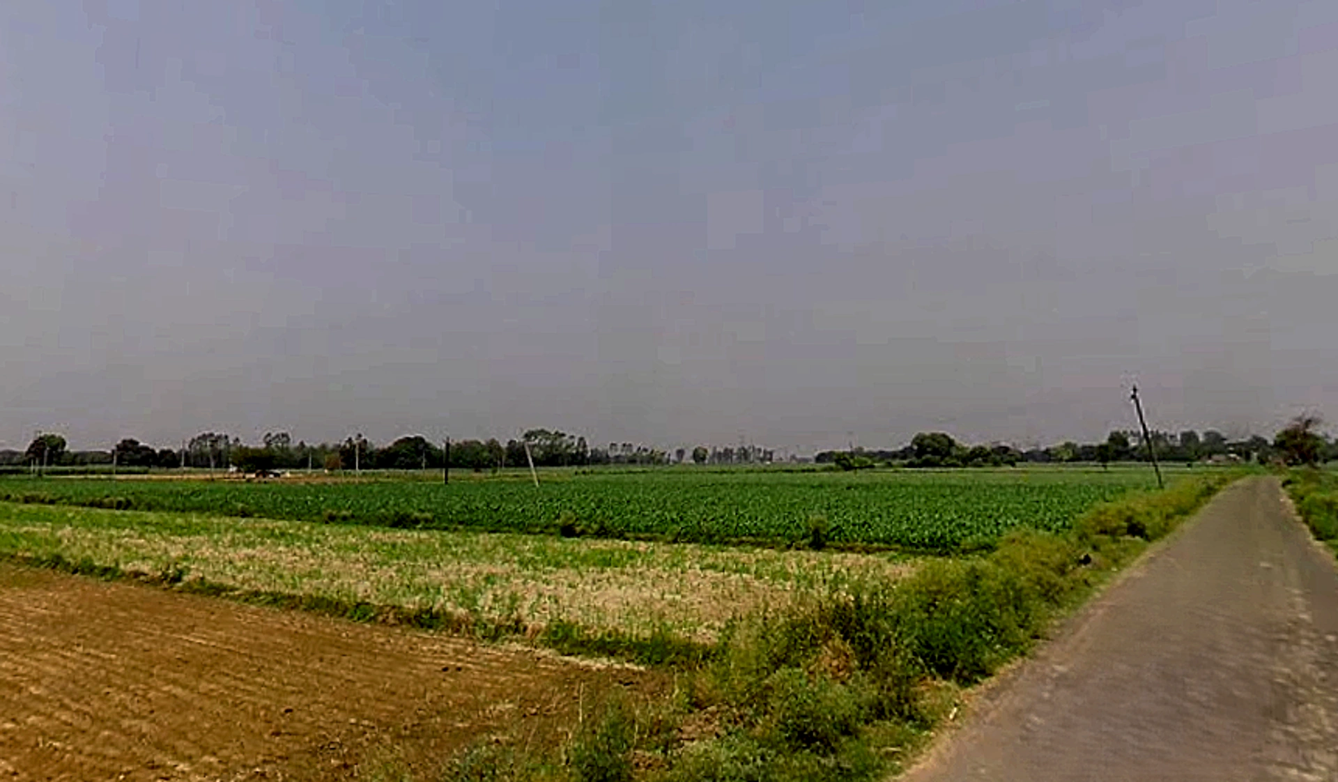 Bijauli, Uttar Pradesh 245206, India