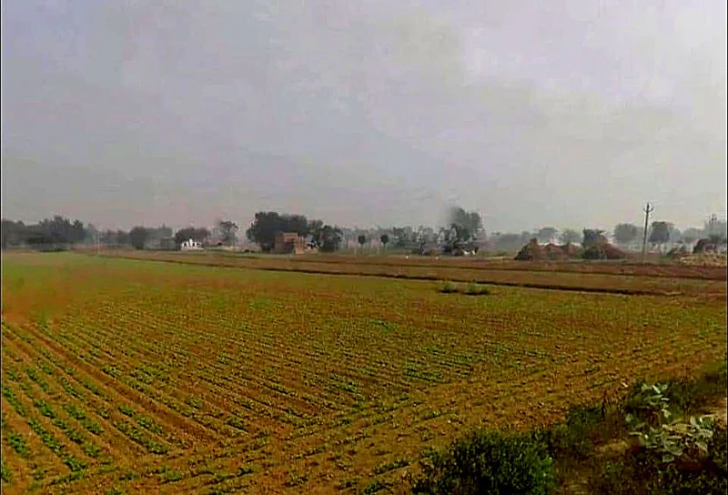 Bikaner - Agra Rd, Govindgarh, Rajasthan 303712, India preview 2