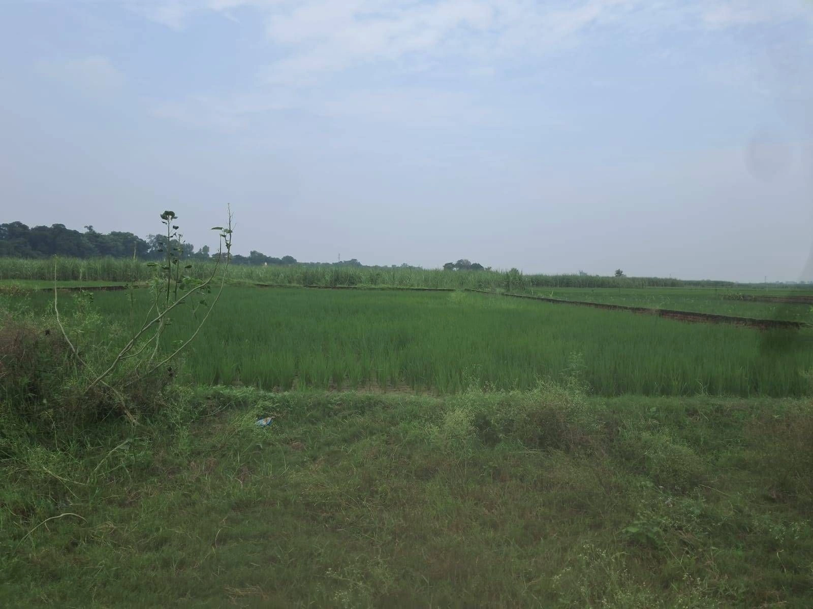 P6FR+8J6, Ayodhya, Samaha Khurd, Uttar Pradesh 224135, India