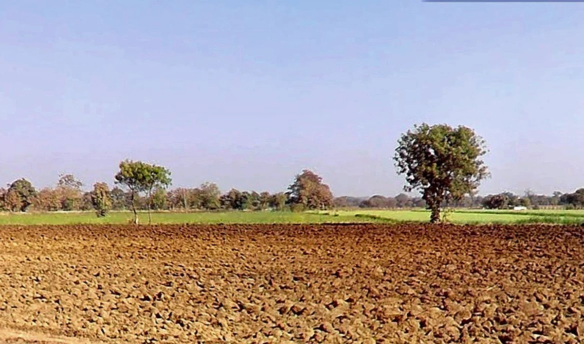 Huzur, Madhya Pradesh 462001, India