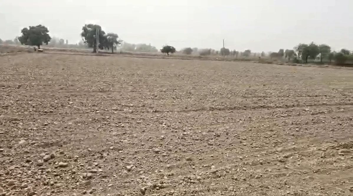 9V85+J5J, Laxmangarh, Rajasthan 321607, India