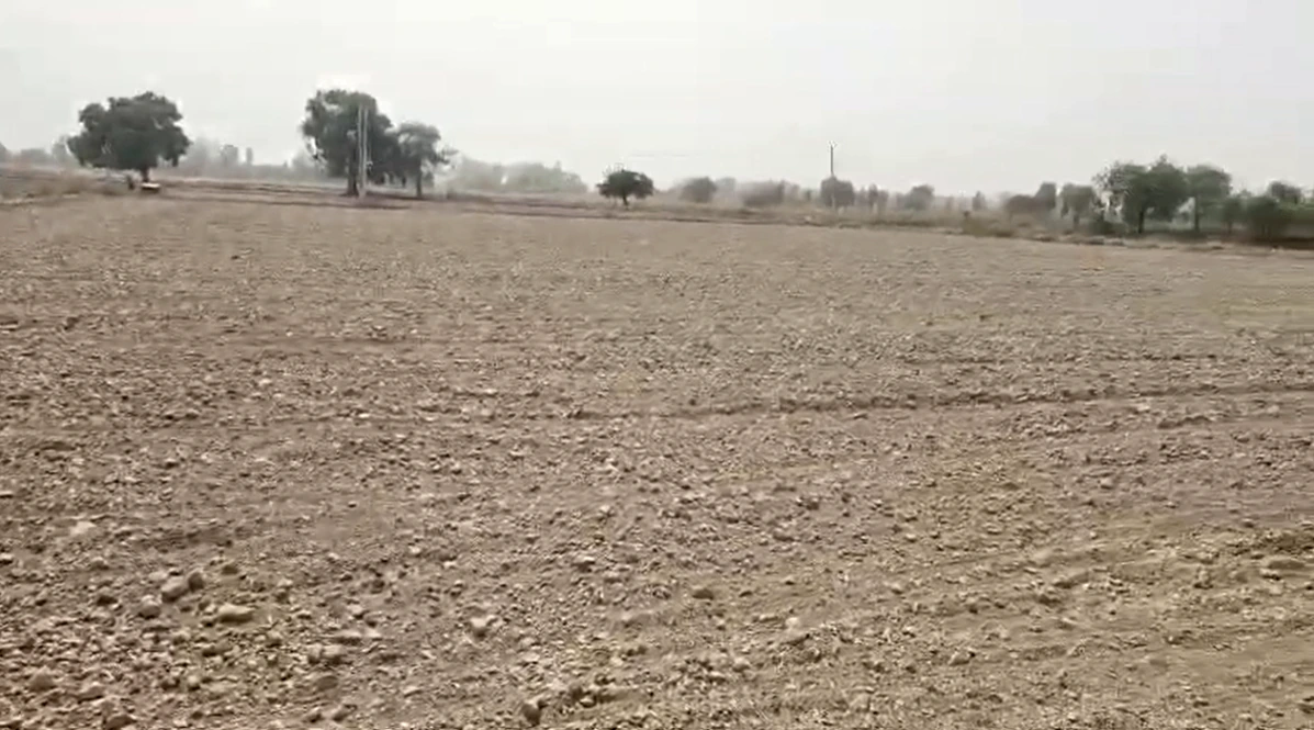 9V85+J5J, Laxmangarh, Rajasthan 321607, India