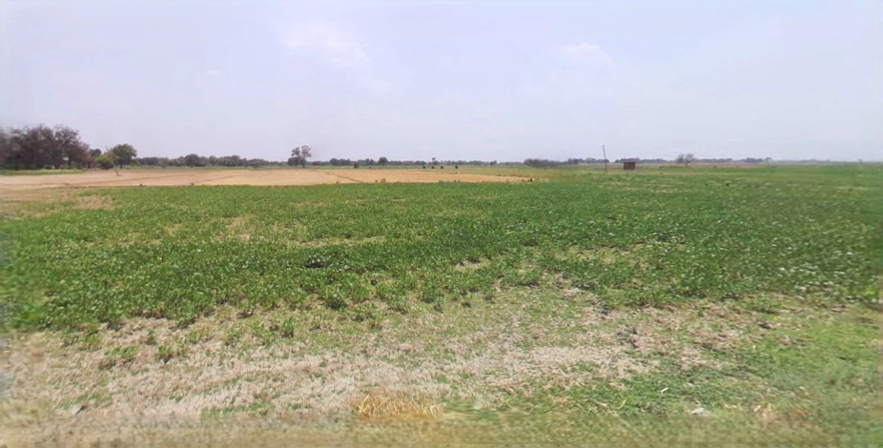 Barnagar, Madhya Pradesh 456771, India