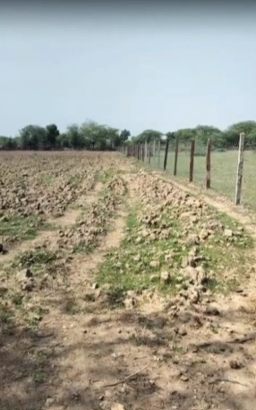 P535+Q4 Jangaon, Telangana, India