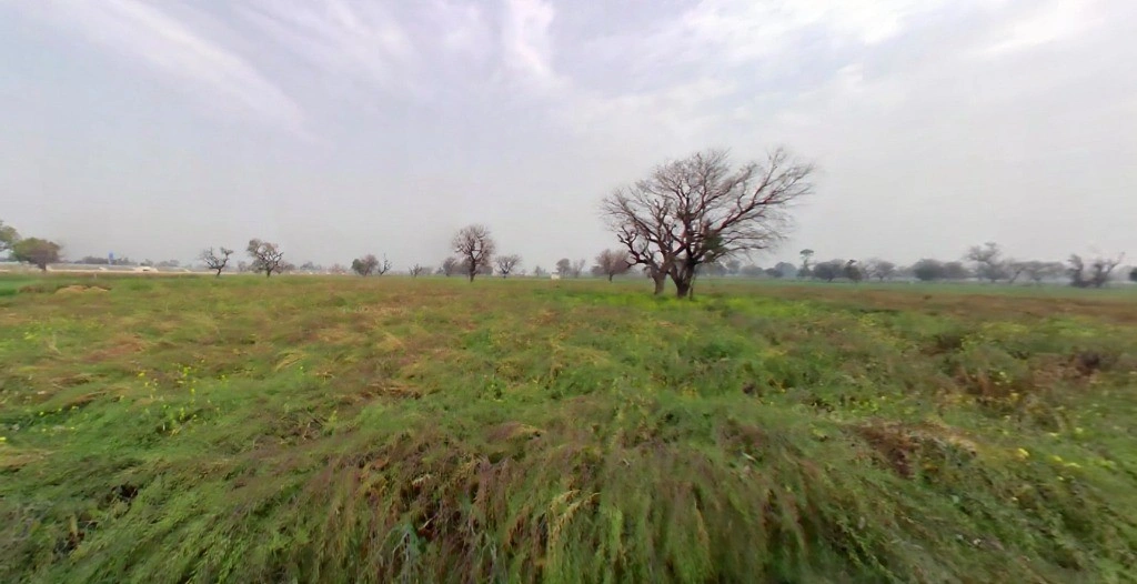 FRR8+C99, Jugrawar, Rajasthan 301001, India