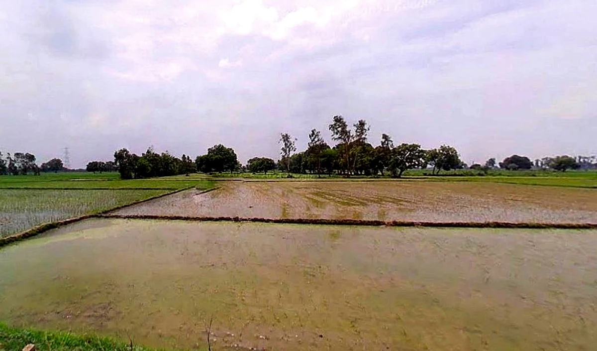 Chhata, Uttar Pradesh 281401, India