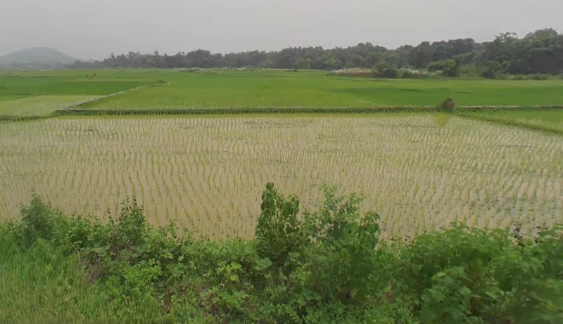 Mukutmanipur, West Bengal, India preview 3