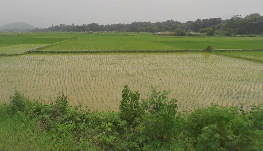 Mukutmanipur, West Bengal, India