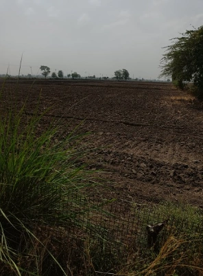 Makhdumpur, Bihar 804422, India