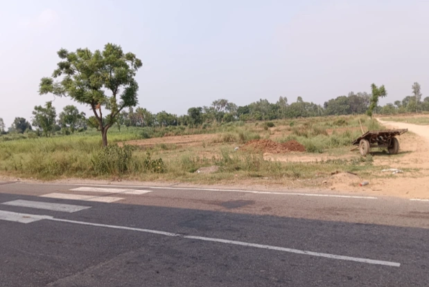 Noorpur Dallu, Bijnor, Uttar Pradesh 246731, India